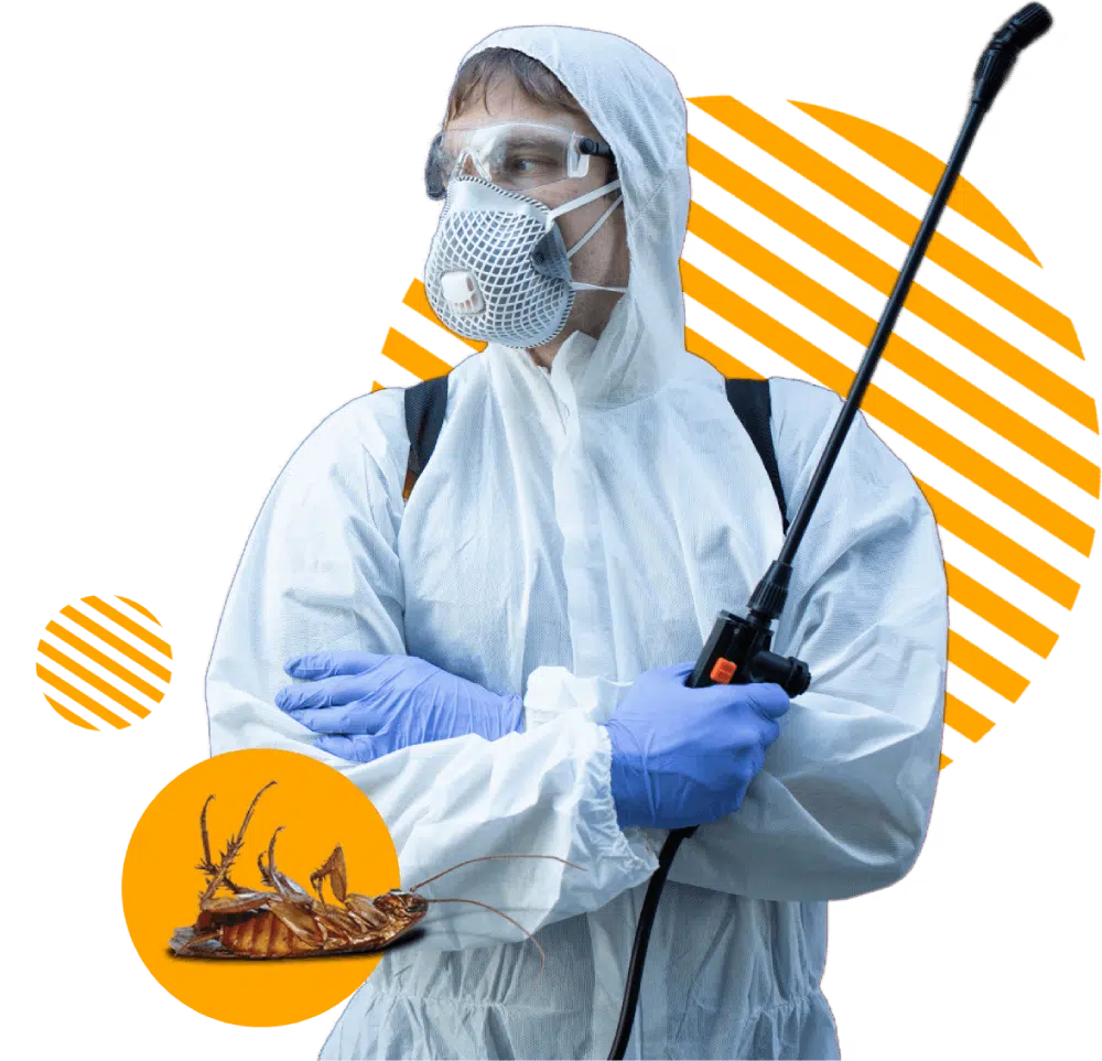 disinfestatore blatte